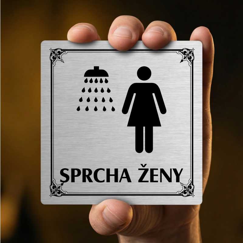 Sprcha ženy, 100x100mm, stříbrná, Nevada